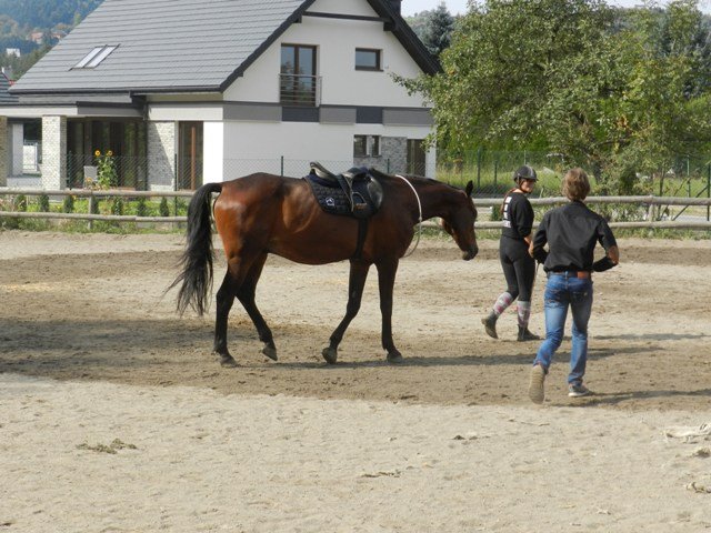 Babie Lato 2016